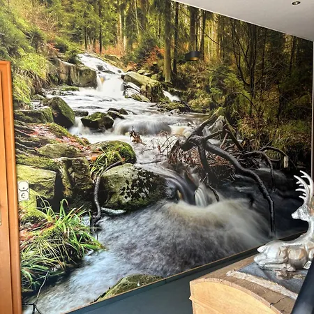 Penzion Hotel-pension Bergkranz Braunlage