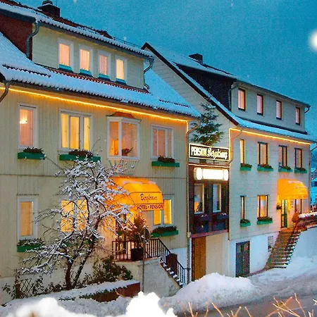 Hotel-pension Bergkranz Guest house